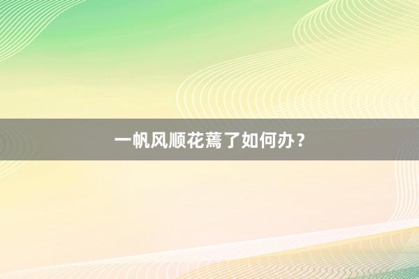 一帆风顺花蔫了如何办？