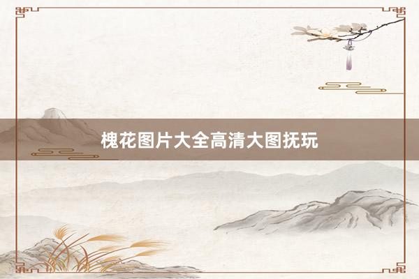 槐花图片大全高清大图抚玩