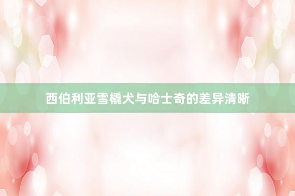 西伯利亚雪橇犬与哈士奇的差异清晰